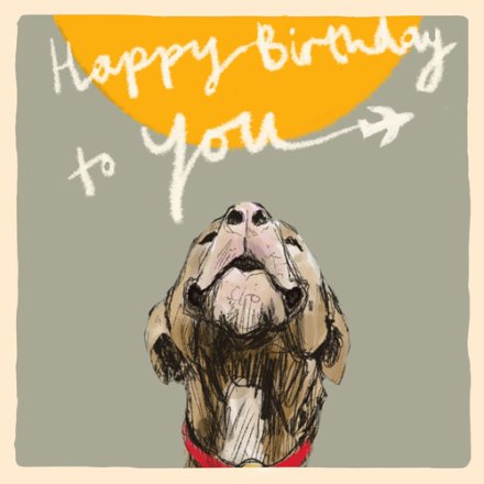 green square card with a beige brder. Cartoon dog at the bottom of the card looking up towards the dun. 'Happy birthday to you' written in handwritten script font with airplane following away from the 'u'.
