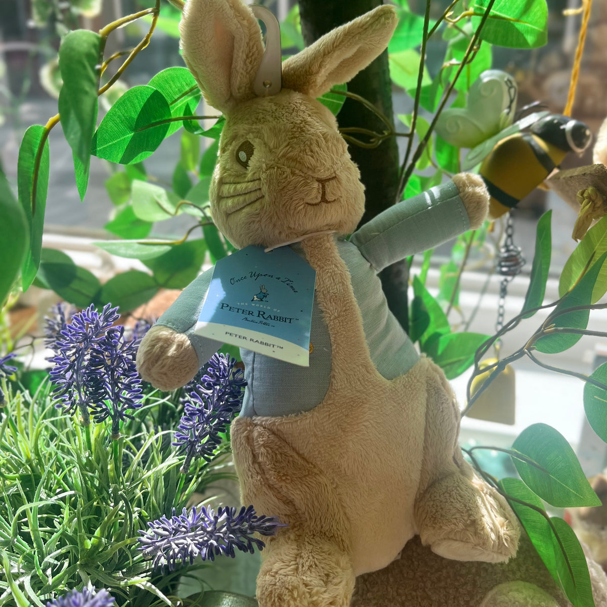 Large Peter Rabbit Soft Toy – Lu Lu's Gift Company