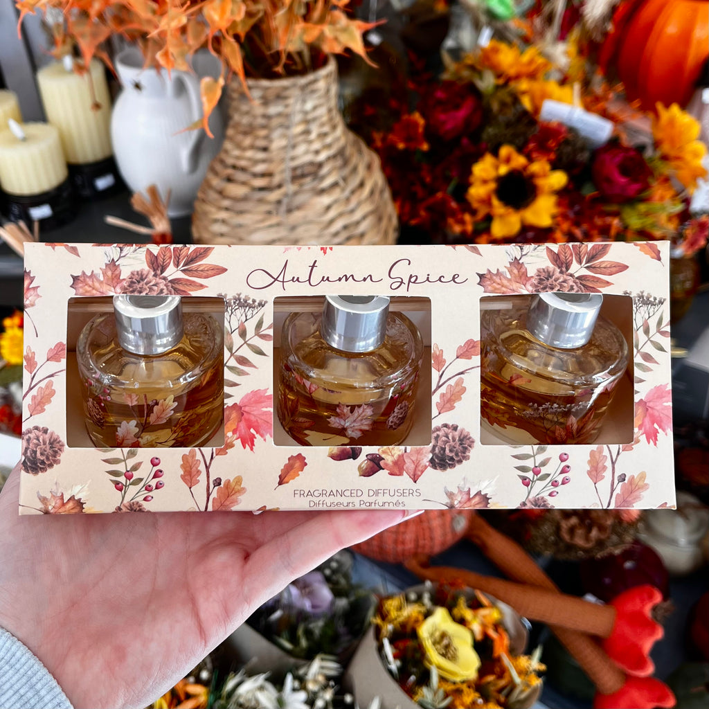 Pack of three 'Autumn Spice' fragranced diffusers in a decorative box with fall-themed design.