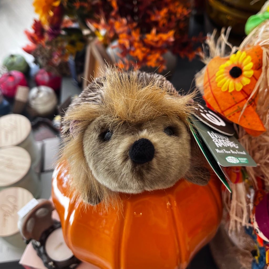 Stuffed hedgehog toy in an orange pumpkin with a tag, surrounded by autumn-themed decorations.