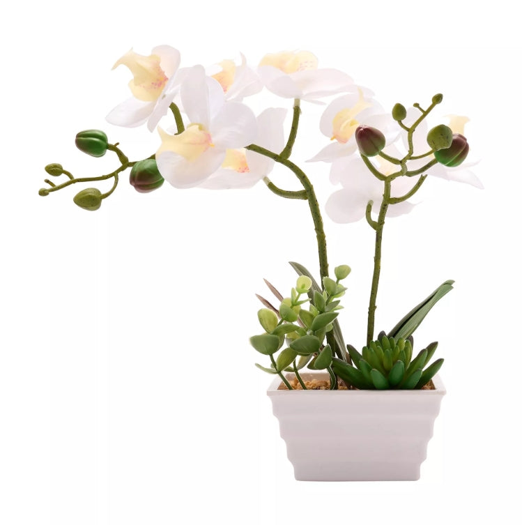 Artificial orchid plant with white flowers and green leaves in a white pot on a white background