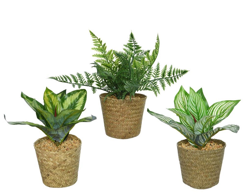 artificial plants in pots uk Artificial Plant in Woven Rattan Pot – Lu Lu's Gift Company